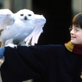 Harry Potter à l’école des sorciers (Chris Columbus)