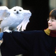 Harry Potter à l’école des sorciers (Chris Columbus)