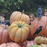Harry Potter et le prisonnier d’Azkaban (Alfonso Cuaron)