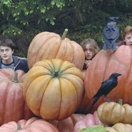Harry Potter et le prisonnier d’Azkaban (Alfonso Cuaron)