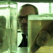 Jar City (Baltasar Kormakur)